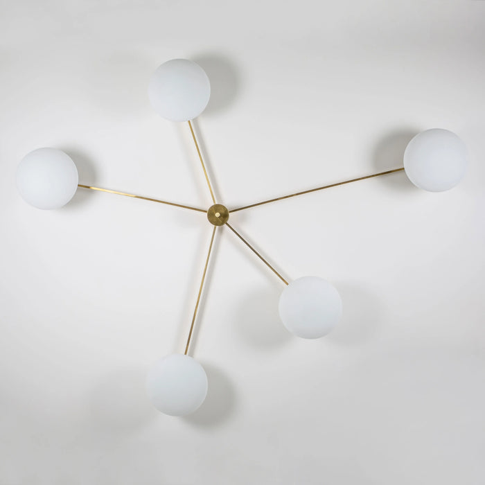 STELLA STARFISH Lamp - MyConcept Hong Kong