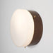 SOLARE VIRGIN Lamp - MyConcept Hong Kong