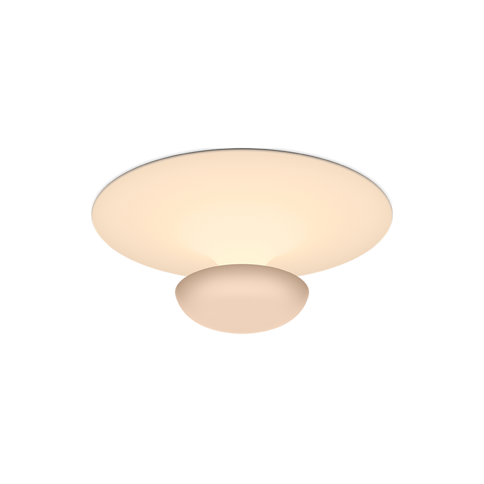 Funnel Ceiling/Wall Lamp