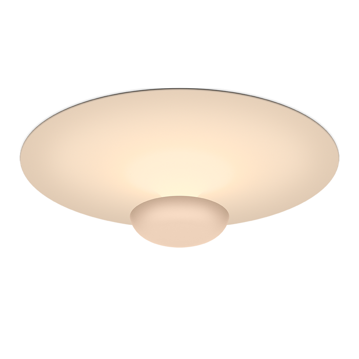 Funnel Ceiling/Wall Lamp