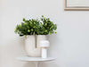 Flos Bellhop Battery Table Lamps White F1060009 - MyConcept Hong Kong
