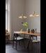 Apiales 6 Suspension Lamp - MyConcept Hong Kong