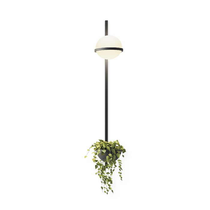 Palma Wall Lamp - MyConcept Hong Kong