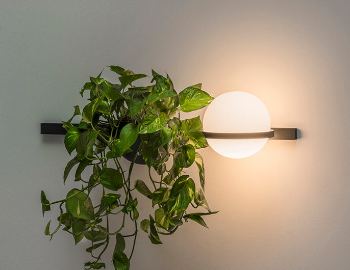 Palma Lineal Wall Lamp - MyConcept Hong Kong