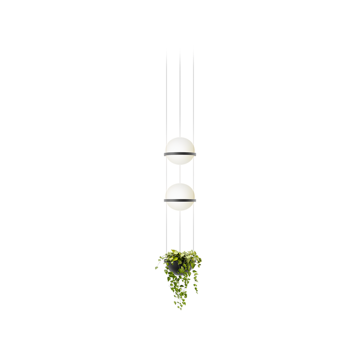 Palma Pendant Lamp - MyConcept Hong Kong