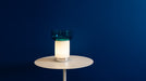 BONTA' (Lamp+Plate) - MyConcept Hong Kong