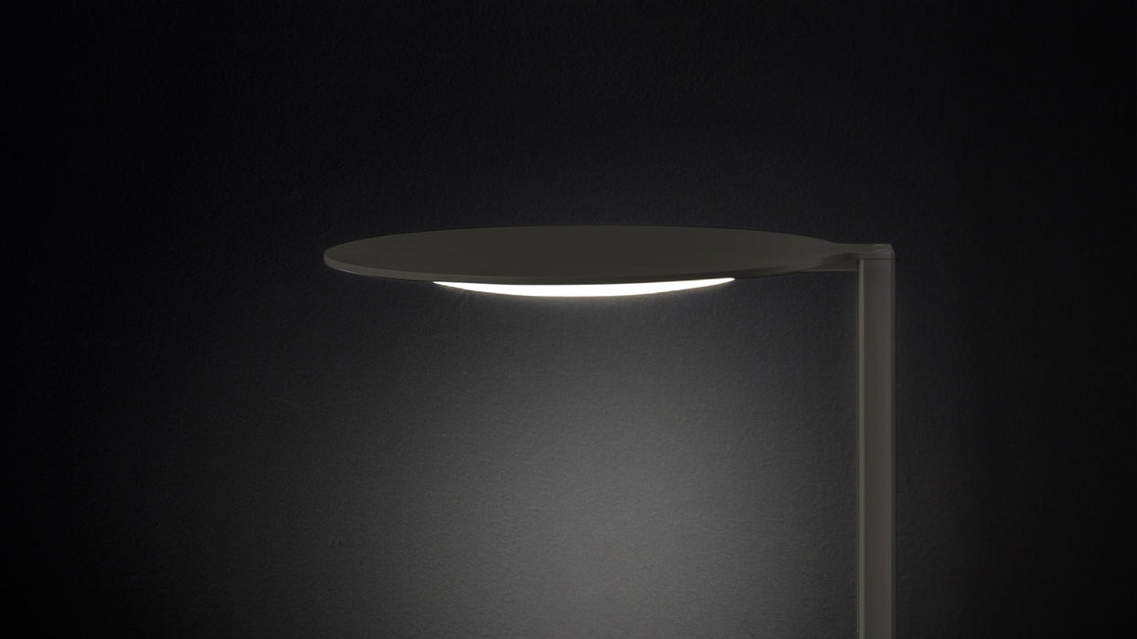 Duca Table Lamp - MyConcept Hong Kong